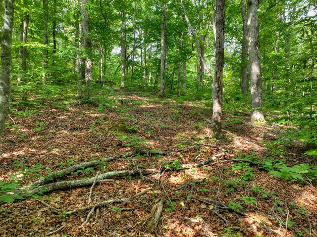 Lt 61 North Harris Creek Dr, Ellijay, GA 30540