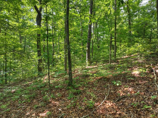 Lt 61 North Harris Creek Dr, Ellijay, GA 30540