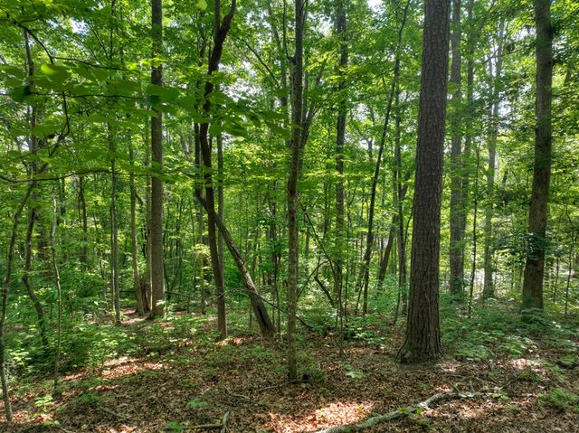 Lt 61 North Harris Creek Dr, Ellijay, GA 30540