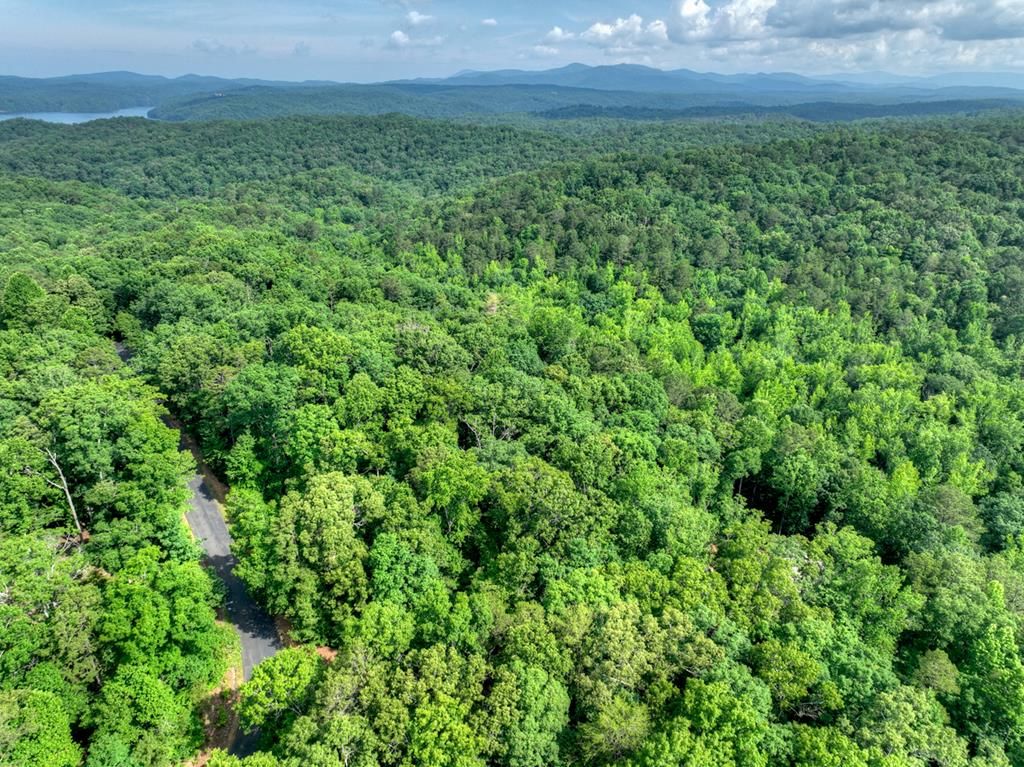 Lt 61 North Harris Creek Dr, Ellijay, GA 30540