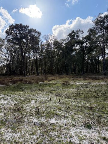 3780 SE 145TH STREET, Summerfield, FL 34491