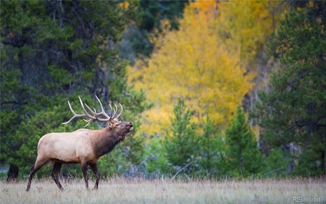 8938 Hillview Road, Morrison, CO 80465