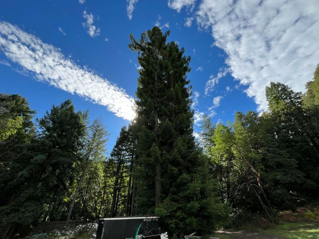 250 Gibson Creek Road, Whitethorn, CA 95589