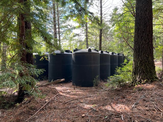 250 Gibson Creek Road, Whitethorn, CA 95589