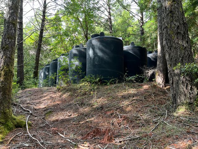 250 Gibson Creek Road, Whitethorn, CA 95589