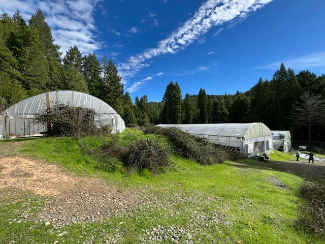 250 Gibson Creek Road, Whitethorn, CA 95589