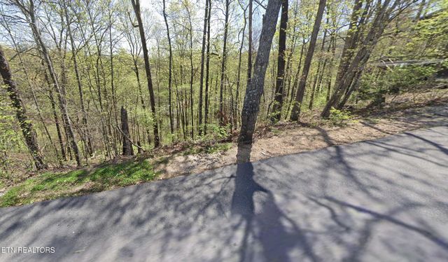 Lot 1-D West Gold Dust Drive, Pigeon Forge, TN 37863