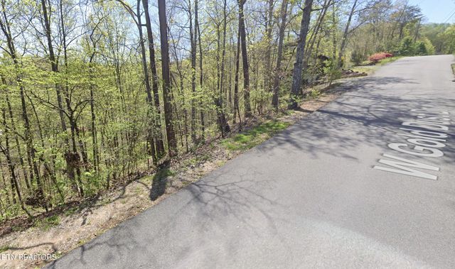 Lot 1-D West Gold Dust Drive, Pigeon Forge, TN 37863