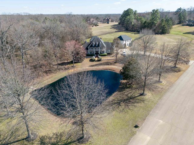 226 JAMERSON FARM RD, Collierville, TN 38017