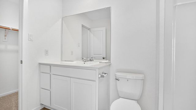 26911 Dalmatian Bellflower Drive, Katy, TX 77493