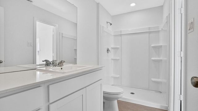 26911 Dalmatian Bellflower Drive, Katy, TX 77493