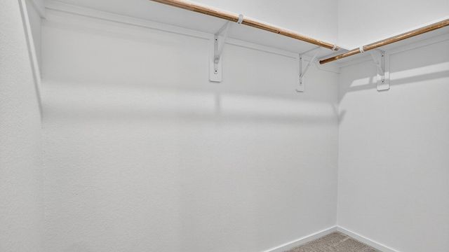 26911 Dalmatian Bellflower Drive, Katy, TX 77493