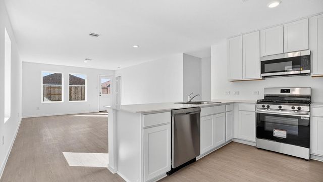 26911 Dalmatian Bellflower Drive, Katy, TX 77493