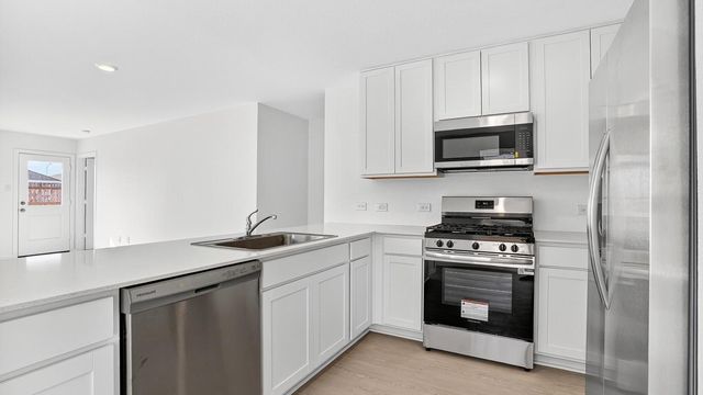 26911 Dalmatian Bellflower Drive, Katy, TX 77493