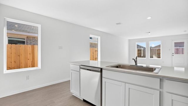 26911 Dalmatian Bellflower Drive, Katy, TX 77493