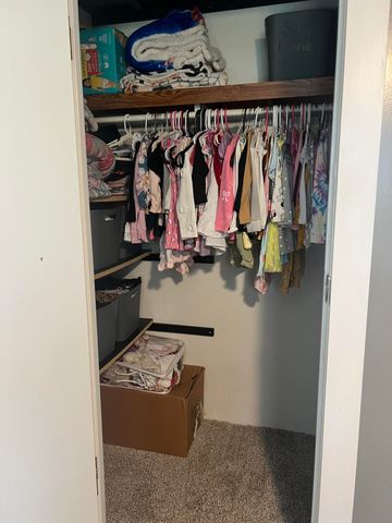 2160 N Shaytown Road, Vermontville Twp, MI 49096