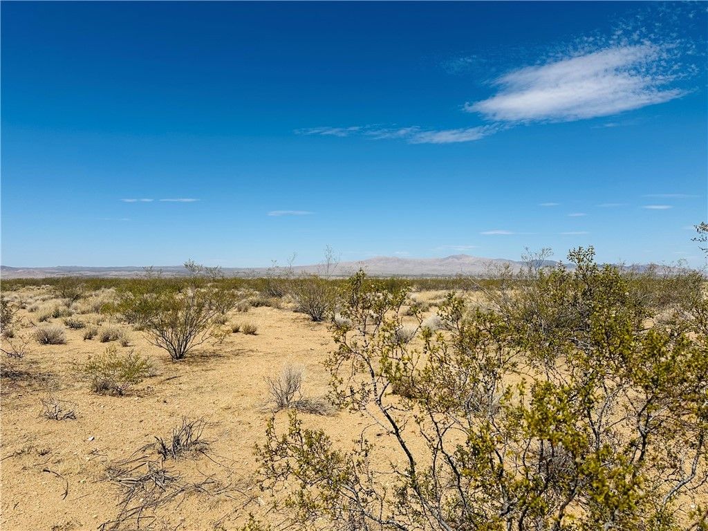 00 N Del Norte Drive, Dolan Springs, AZ 86441
