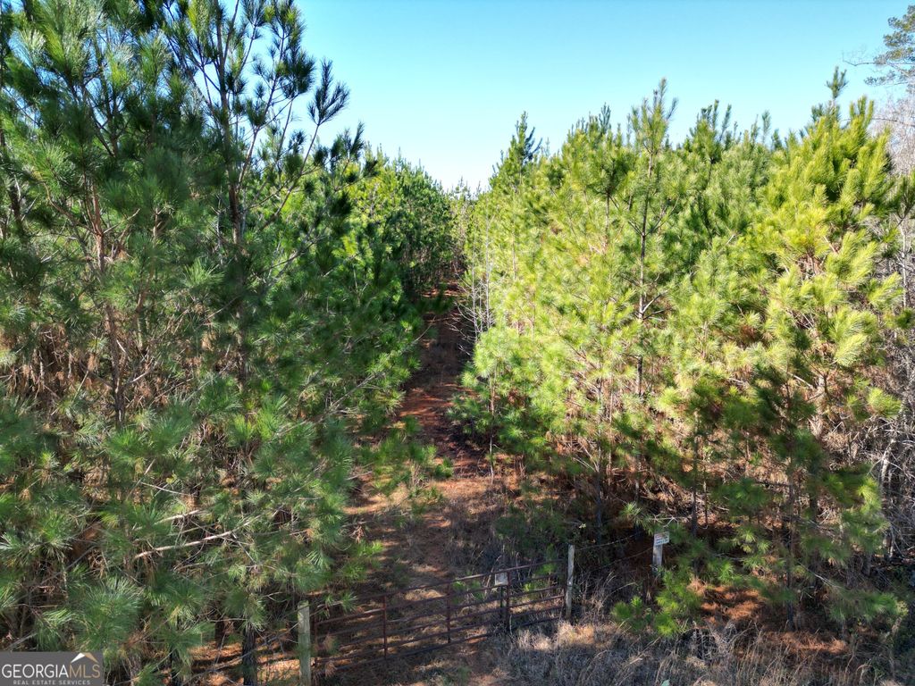 0 Jaudon Road (30.03 ACRE LOT), Elberton, GA 30635 — exterior
