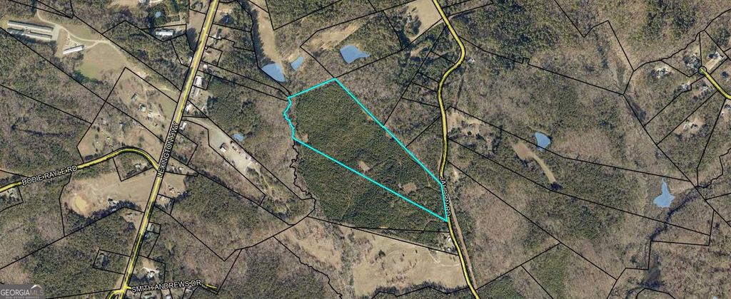 0 Jaudon Road (30.03 ACRE LOT), Elberton, GA 30635 — photo 2