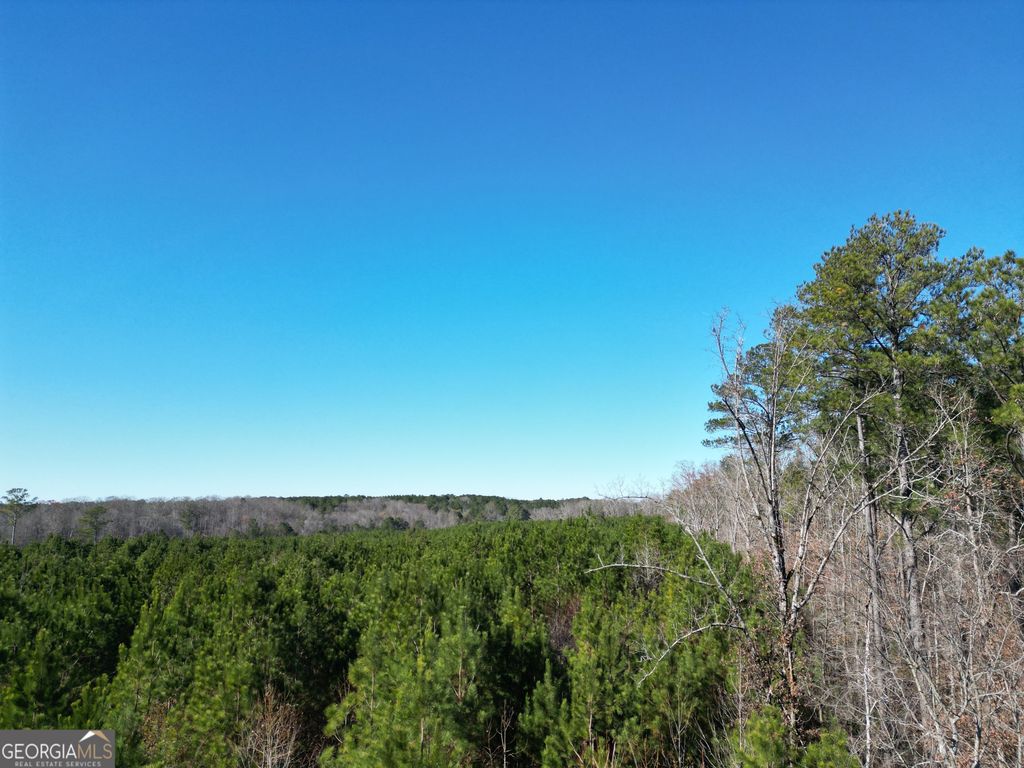 0 Jaudon Road (30.03 ACRE LOT), Elberton, GA 30635 — photo 3