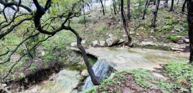 1777 Paradise Pkwy, Canyon Lake, TX 78133