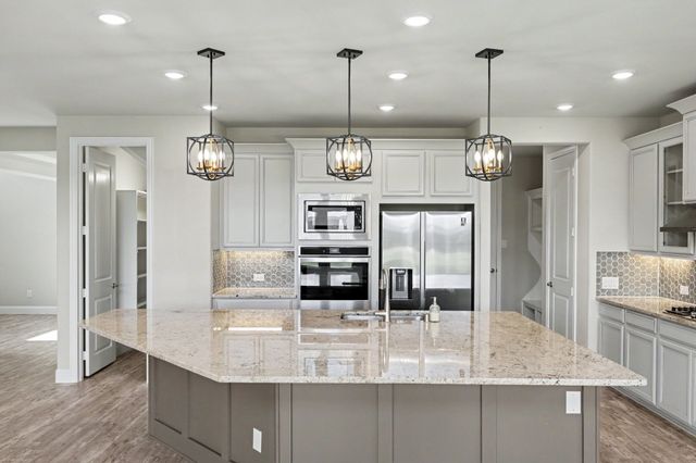 2317 Willow Garden Drive, Little Elm, TX 75068