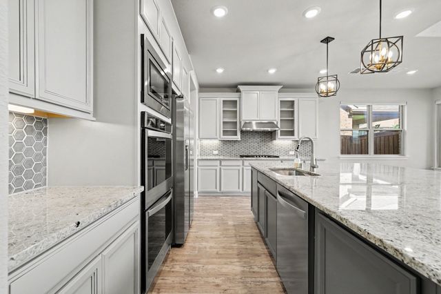 2317 Willow Garden Drive, Little Elm, TX 75068