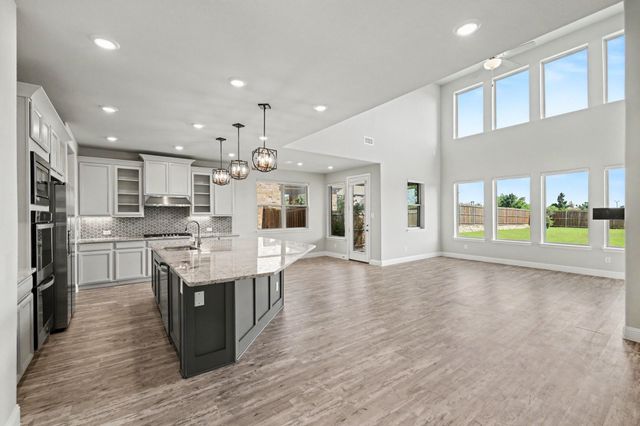 2317 Willow Garden Drive, Little Elm, TX 75068