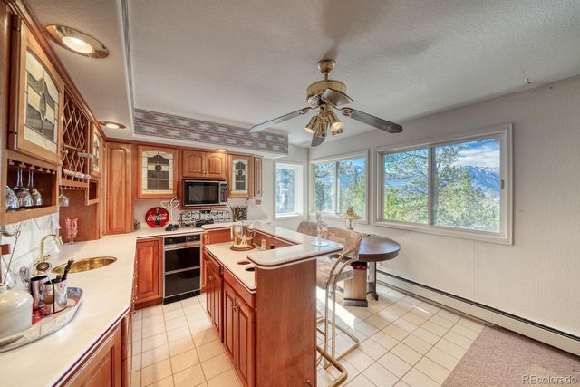 165 Reva Ridge Road, Twin Lakes, CO 81251