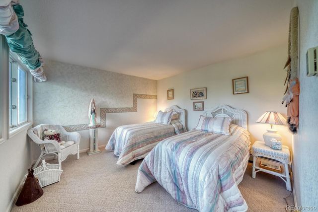 165 Reva Ridge Road, Twin Lakes, CO 81251