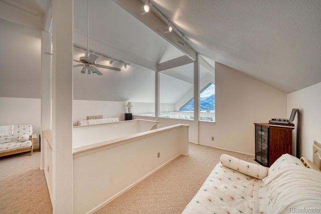 165 Reva Ridge Road, Twin Lakes, CO 81251