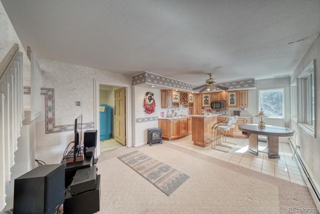 165 Reva Ridge Road, Twin Lakes, CO 81251