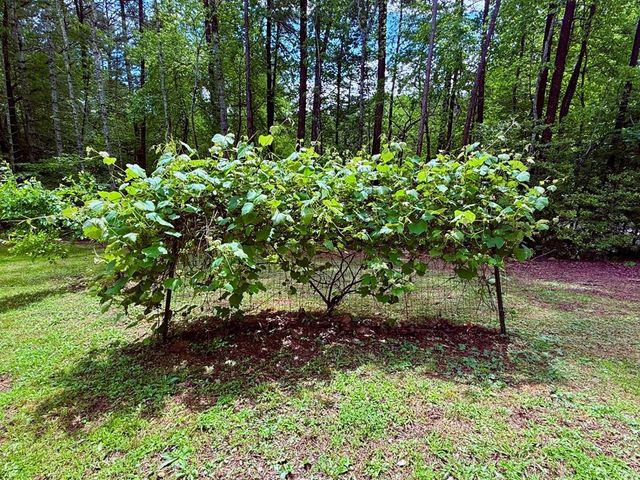 72 Victory Lane, Murphy, NC 28906