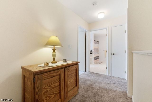 16 Pale Star Ct, Hardyston Twp., NJ 07419