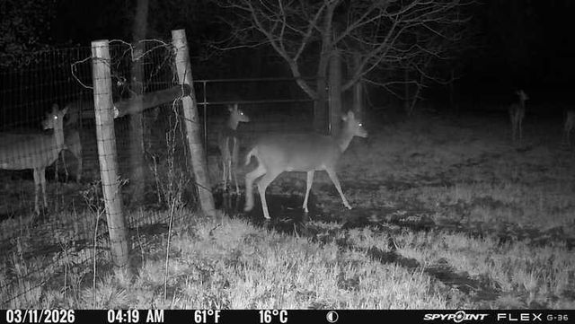 1155 Point Vista Road, Hickory Creek, TX 75065