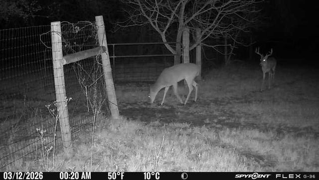 1155 Point Vista Road, Hickory Creek, TX 75065