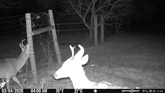 1155 Point Vista Road, Hickory Creek, TX 75065