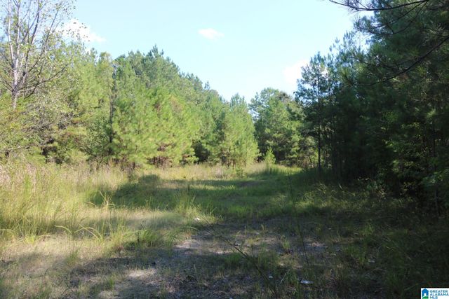 7030 LOU GEORGE LOOP, Bessemer, AL 35022