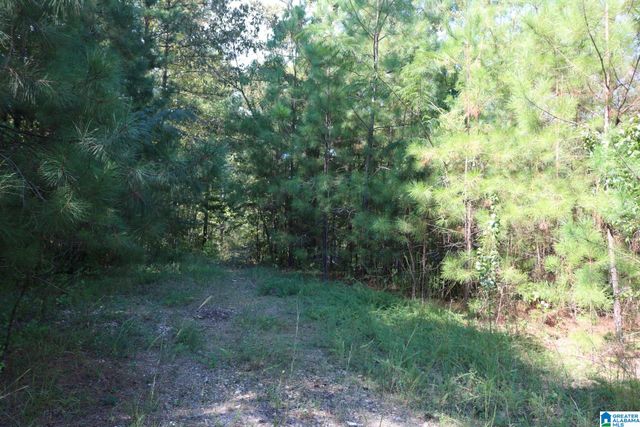 7030 LOU GEORGE LOOP, Bessemer, AL 35022