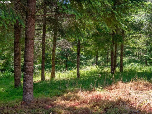 21950 Nw MEIER Rd, Hillsboro, OR 97124