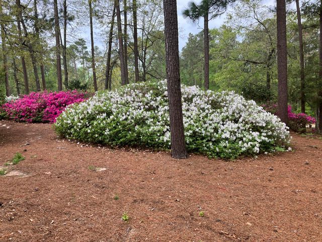 5068 Belle Mead Drive, Aiken, SC 29803