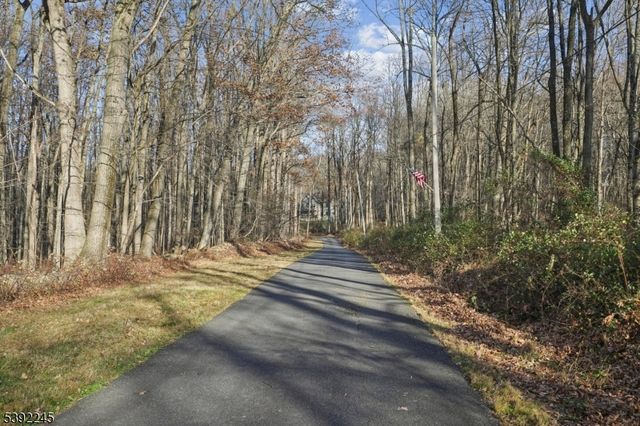 2 Country Ln, Lebanon Twp., NJ 08826