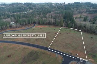 223 Ash Mountain Drive, Castle Rock, WA 98611