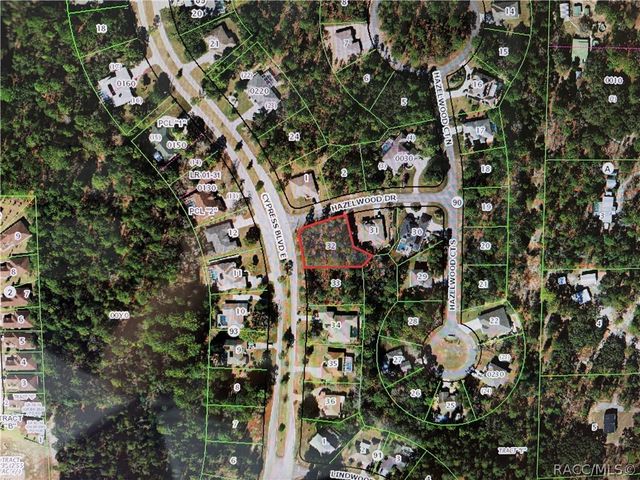 1 Hazelwood Drive, Homosassa, FL 34446