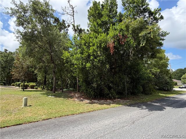 1 Hazelwood Drive, Homosassa, FL 34446