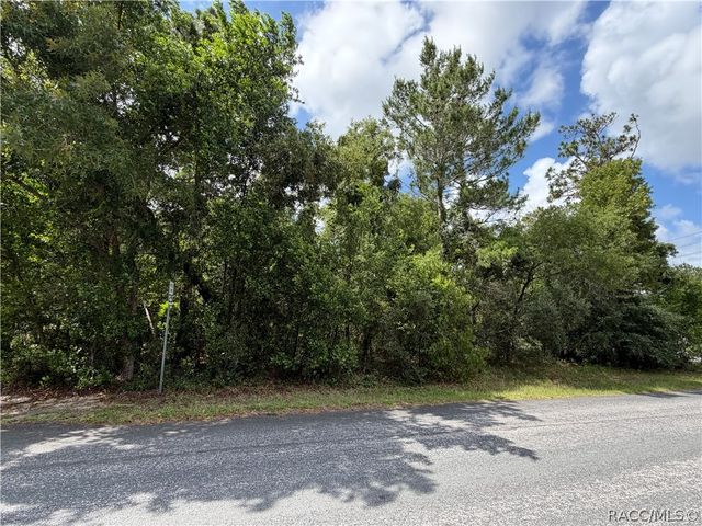 1 Hazelwood Drive, Homosassa, FL 34446