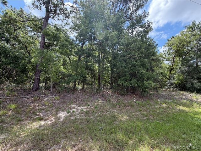 1 Hazelwood Drive, Homosassa, FL 34446