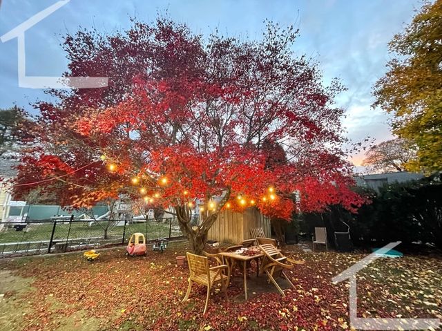 181 Christina St 1, Newton, MA 02461