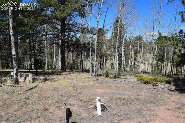 Schubarth Trail, Woodland Park, CO 80863