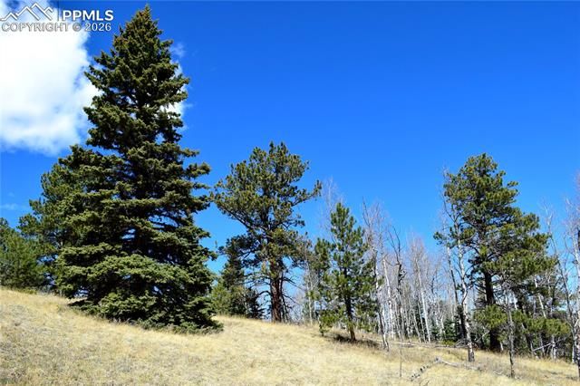 Schubarth Trail, Woodland Park, CO 80863
